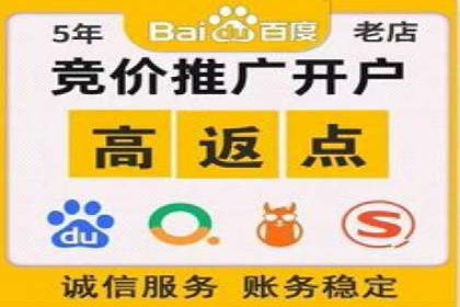 SEM网络推广案例：低成本高回报的营销策略